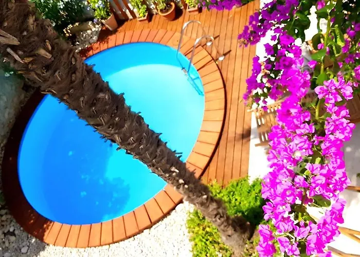 Agnes * אורביץ