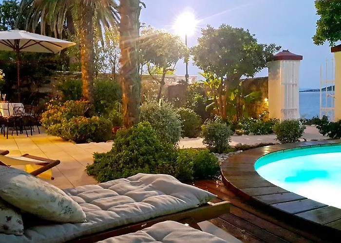 Agnes * אורביץ