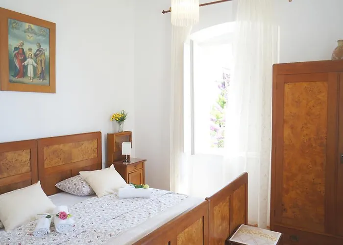 Agnes * אורביץ