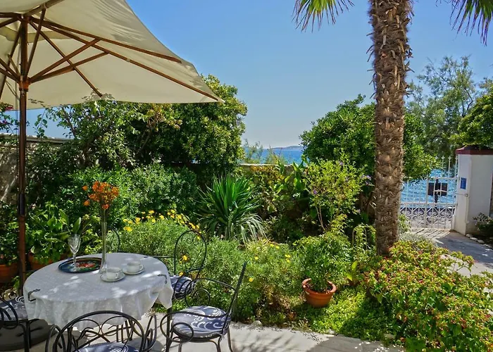 Agnes * אורביץ